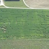 Devine's Corn Maze & Pumpkin Patch photo