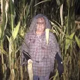 Devine's Corn Maze & Pumpkin Patch photo