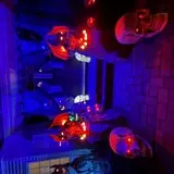SELDEN SPOOKY HOUSE photo