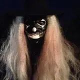 Echo