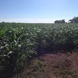 Carpenter's Farm photo