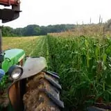 Carpenter's Farm photo