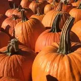 Carpenter's Farm photo