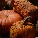 Carpenter's Farm photo