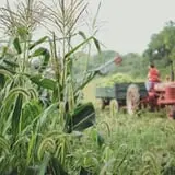 Carpenter's Farm photo
