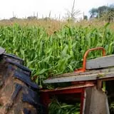 Carpenter's Farm photo