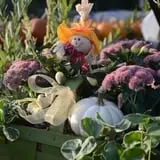 Carpenter's Farm photo