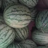 Carpenter's Farm photo