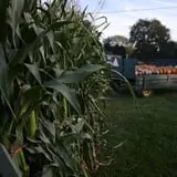 Carpenter's Farm photo