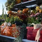 Carpenter's Farm photo