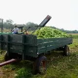 Carpenter's Farm photo