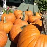 Carpenter's Farm photo