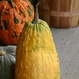 Carpenter's Farm photo
