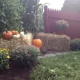 Carpenter's Farm photo
