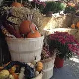 Carpenter's Farm photo