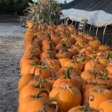 Carpenter's Farm photo