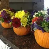 Carpenter's Farm photo