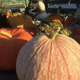 Carpenter's Farm photo