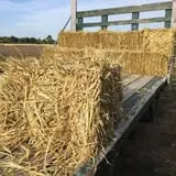 Carpenter's Farm photo