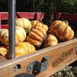 Carpenter's Farm photo