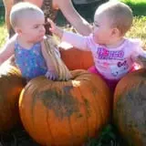 Carpenter's Farm photo