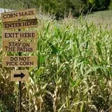 Neltner's Farm photo