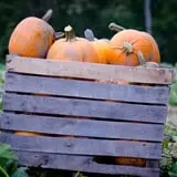 Neltner's Farm photo