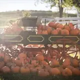 Neltner's Farm photo