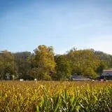 Neltner's Farm photo