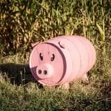 Neltner's Farm photo