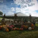 Neltner's Farm photo