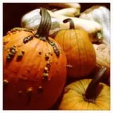 Neltner's Farm photo