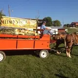 Neltner's Farm photo