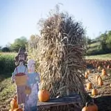 Neltner's Farm photo