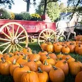 Neltner's Farm photo