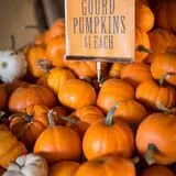 Neltner's Farm photo