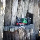 Neltner's Farm photo