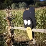 Neltner's Farm photo