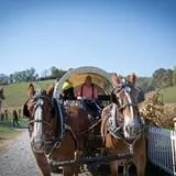 Neltner's Farm photo