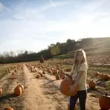 Neltner's Farm photo