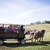 Neltner's Farm photo
