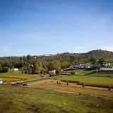 Neltner's Farm photo