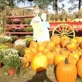 Neltner's Farm photo