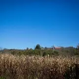 Neltner's Farm photo