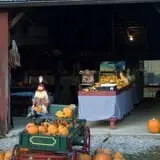 Neltner's Farm photo