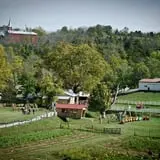 Neltner's Farm photo