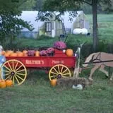 Neltner's Farm photo