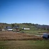 Neltner's Farm photo