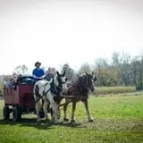 Neltner's Farm photo