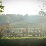 Neltner's Farm photo